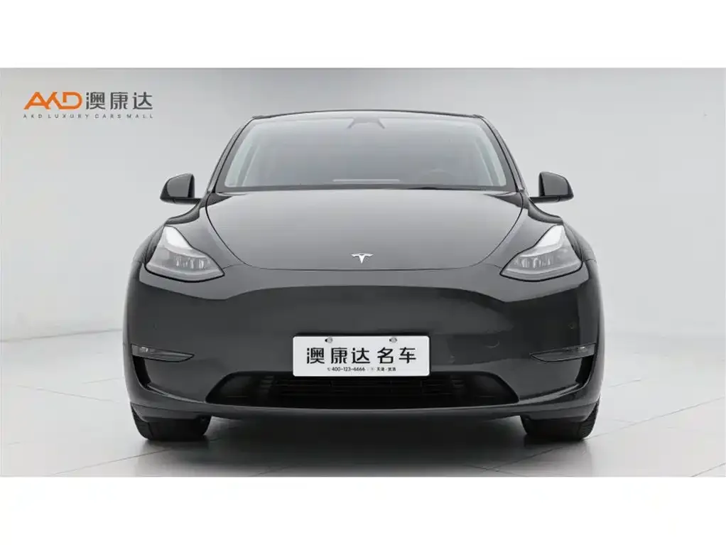 Tesla Model Y — фото 9