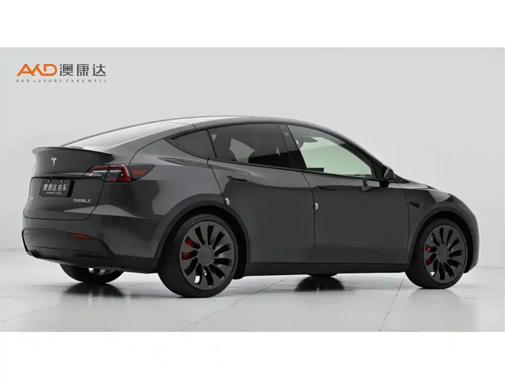 Tesla Model Y — фото 5