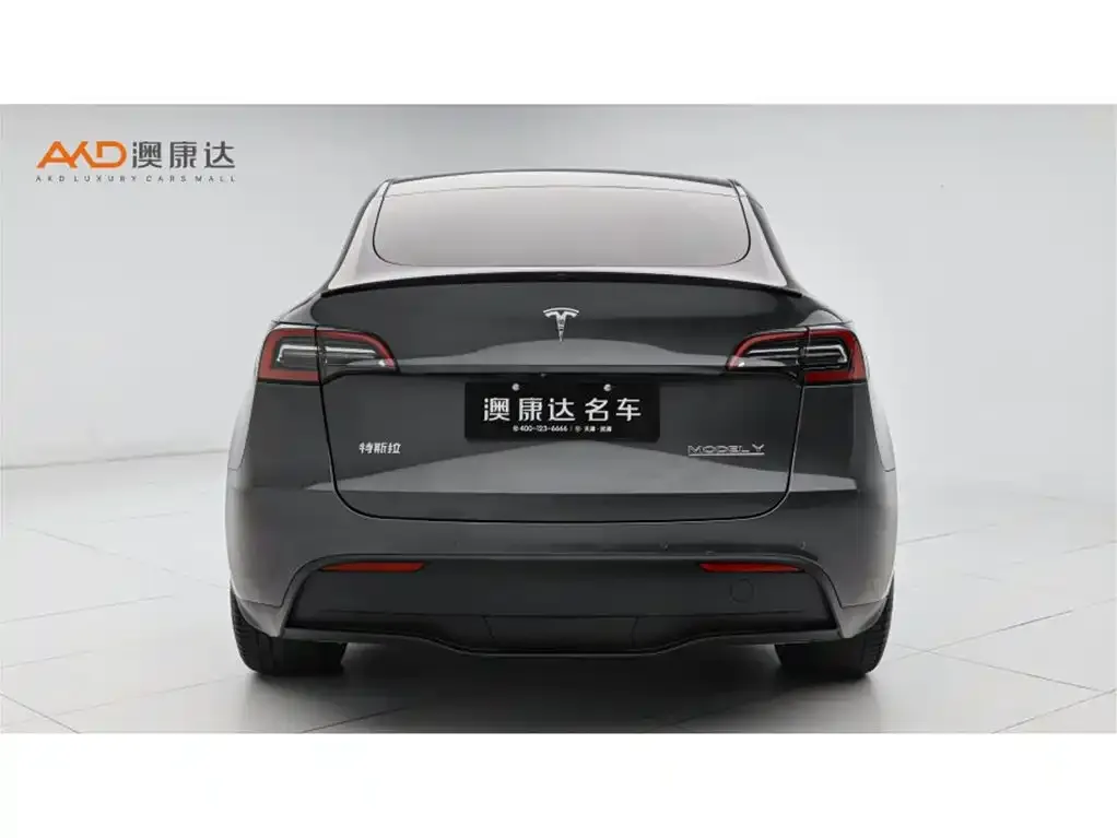 Tesla Model Y — фото 10