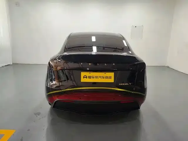 Tesla Model Y — фото 8