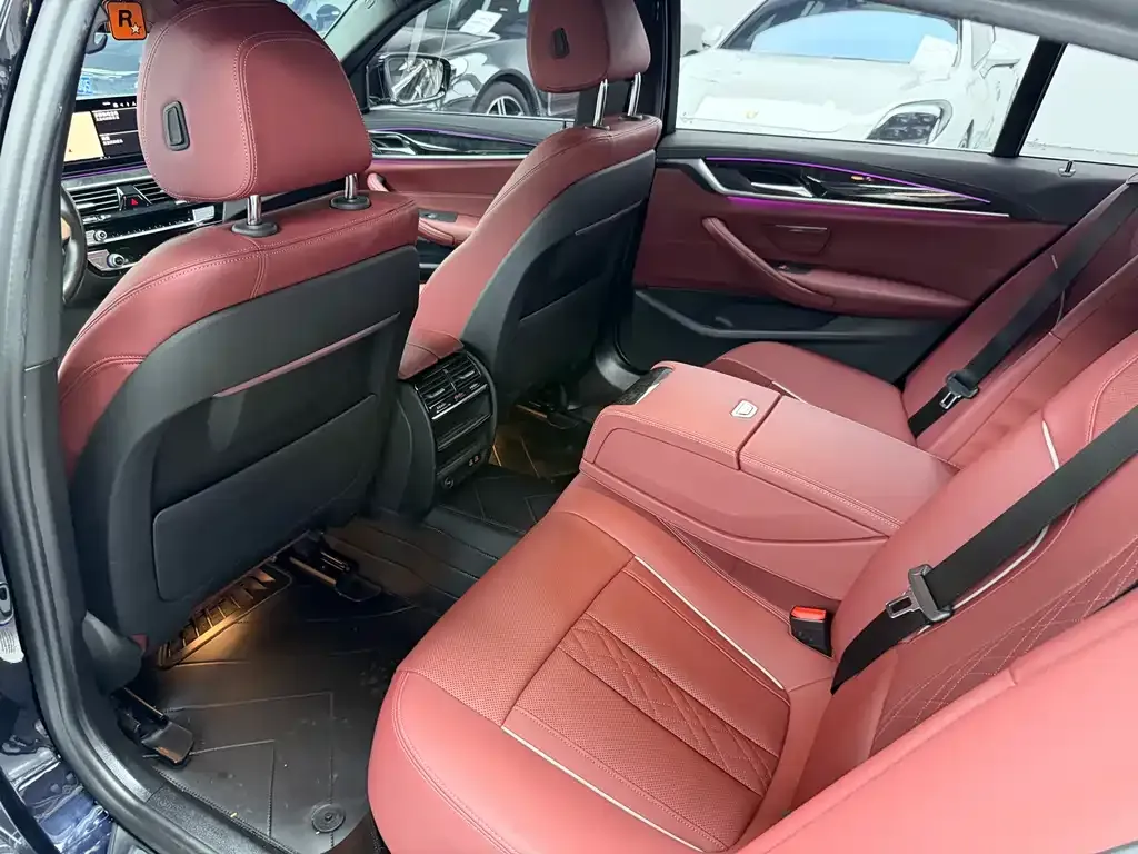 BMW 5 Series 2021 из CN, фото 4