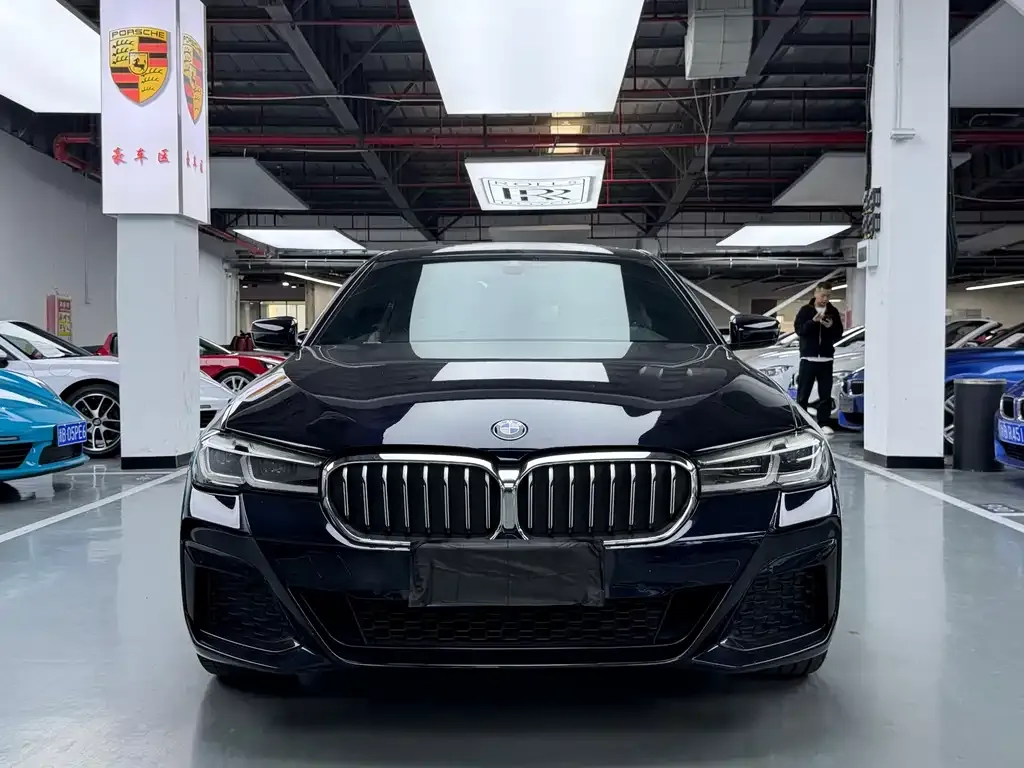 BMW 5 Series 2021 из CN, фото 2