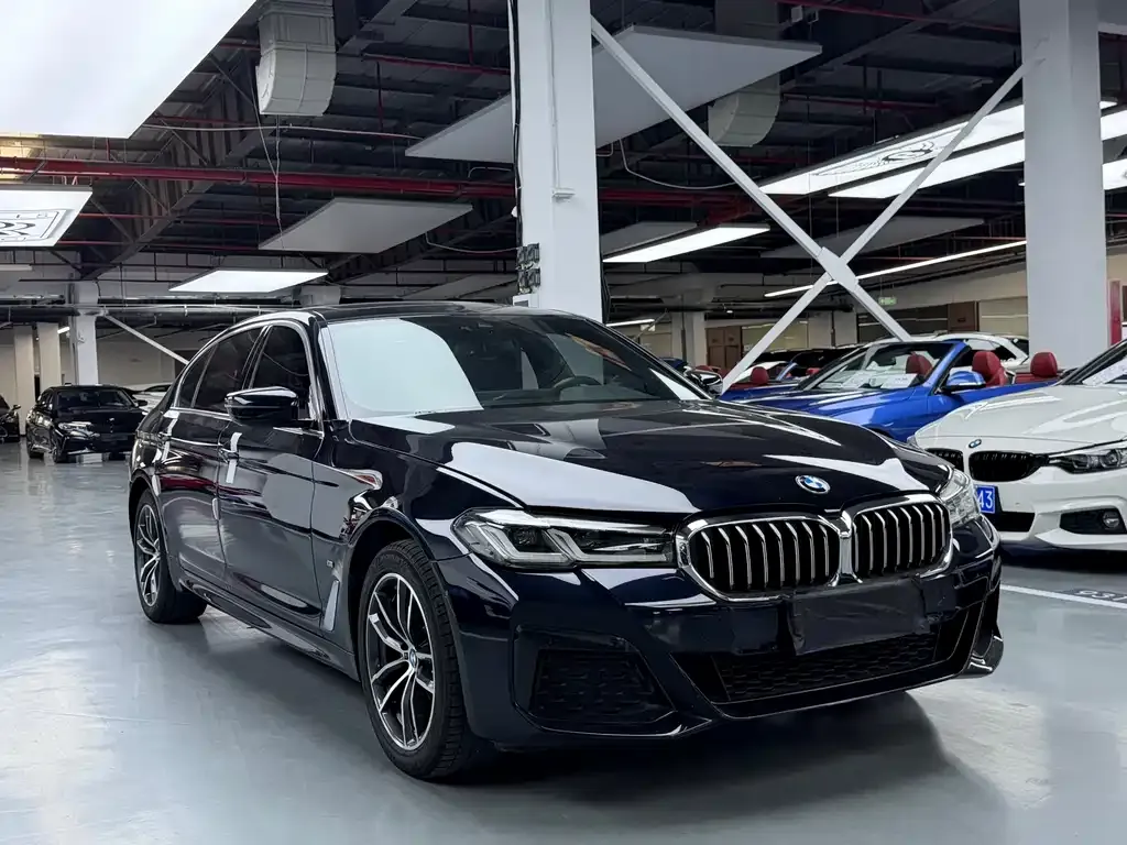 BMW 5 Series 2021 из CN, фото 7