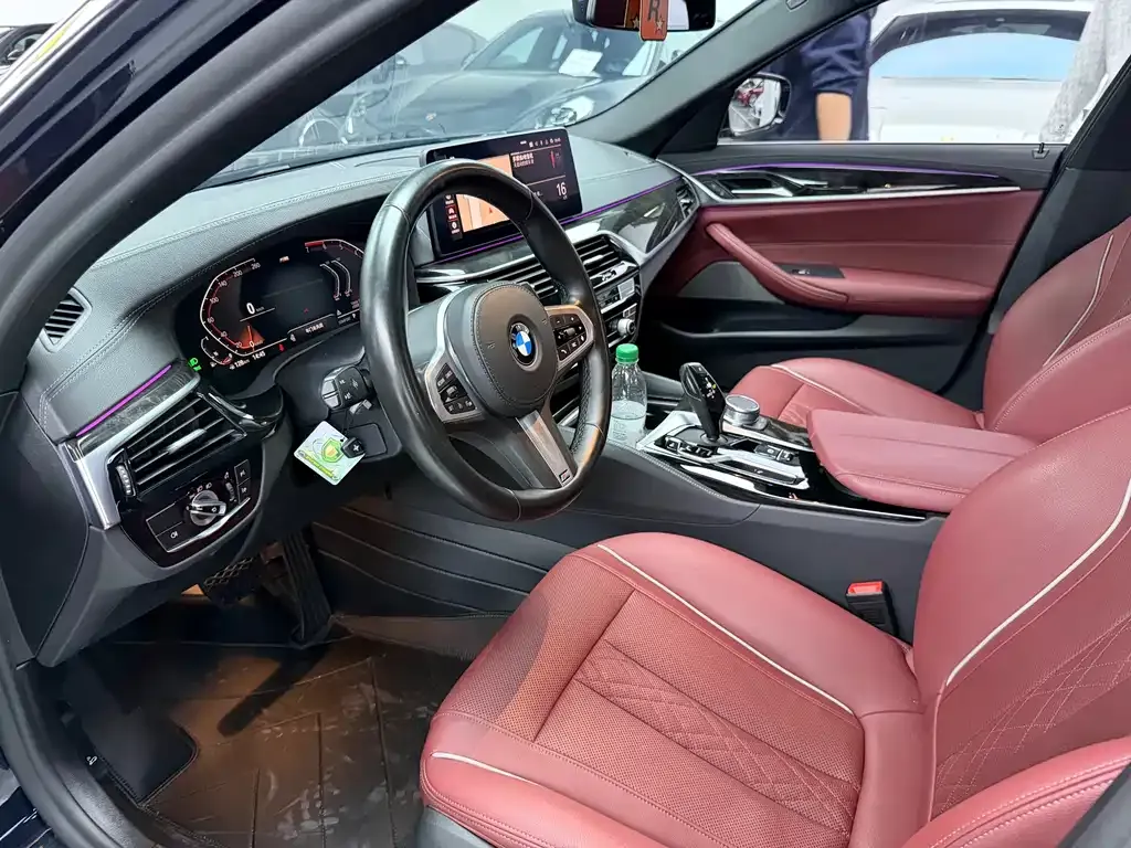 BMW 5 Series 2021 из CN, фото 8