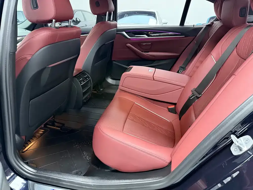 BMW 5 Series 2021 из CN, фото 6