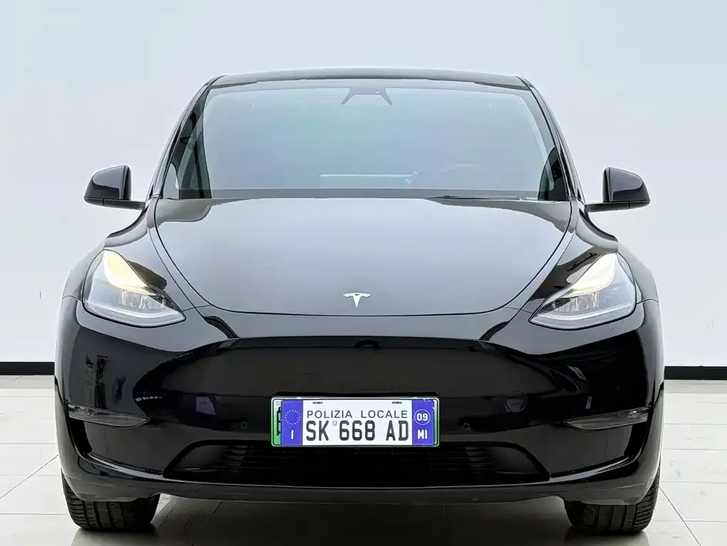 Tesla Model Y — фото 9