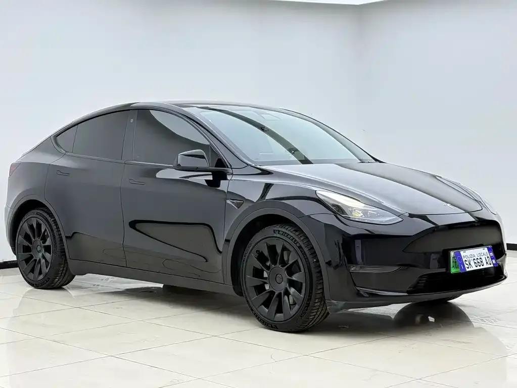 Tesla Model Y — фото 8