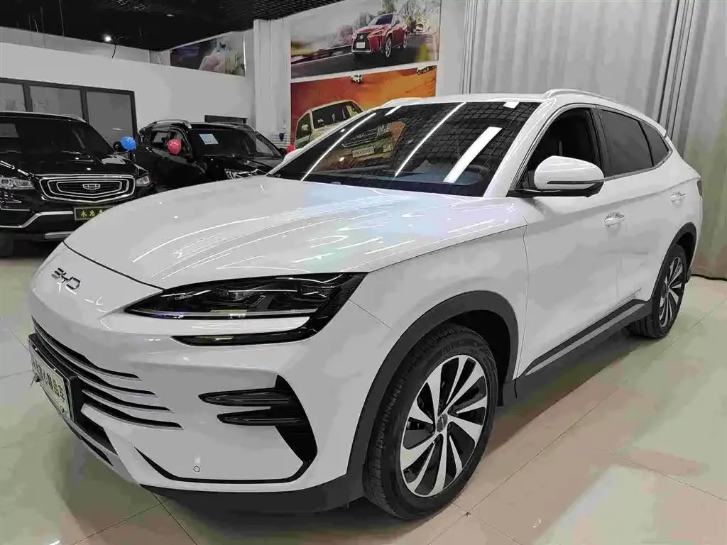BYD PLUS New Energy 2024 из CN, фото 1