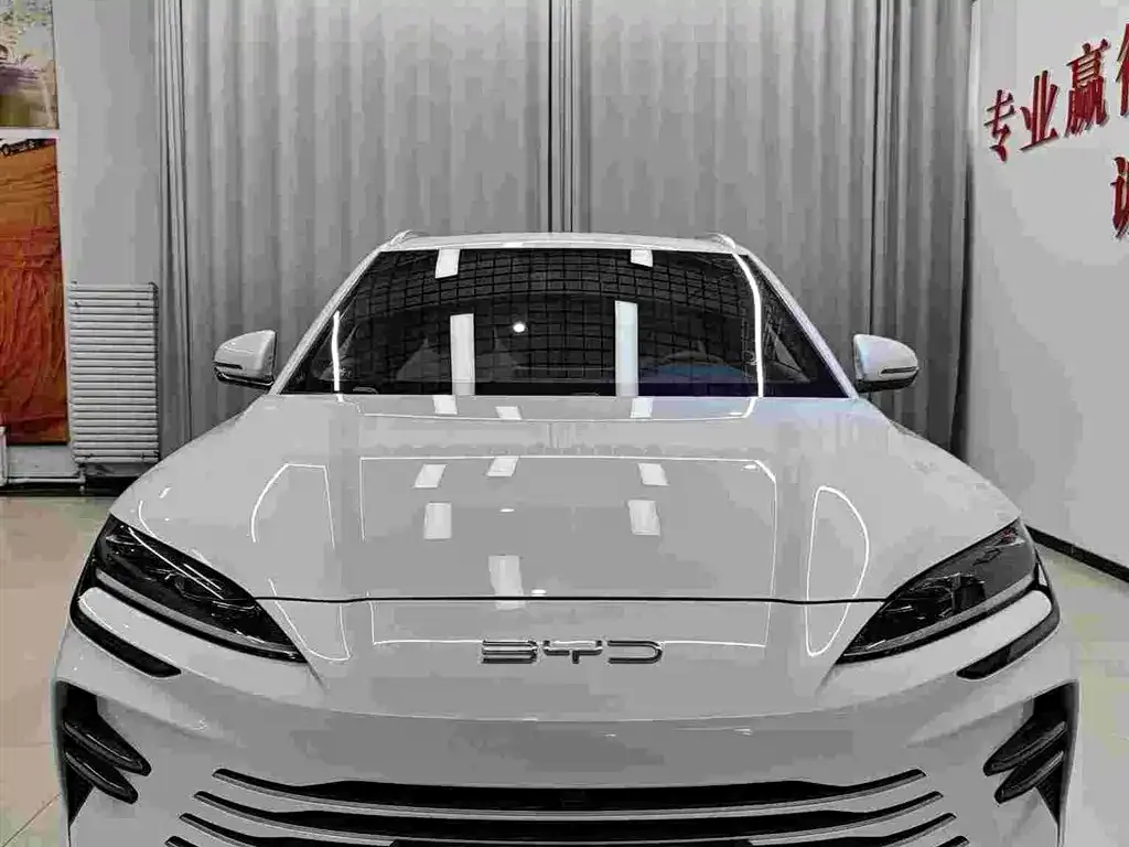 BYD PLUS New Energy 2024 из CN, фото 2