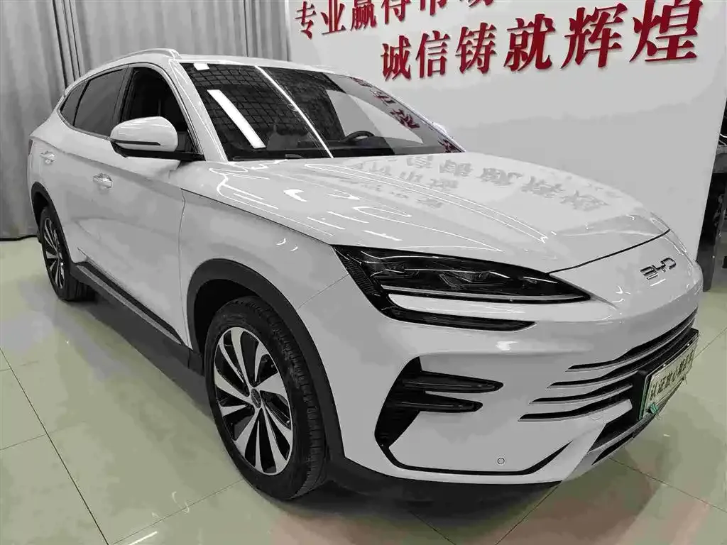 BYD PLUS New Energy 2024 из CN, фото 3