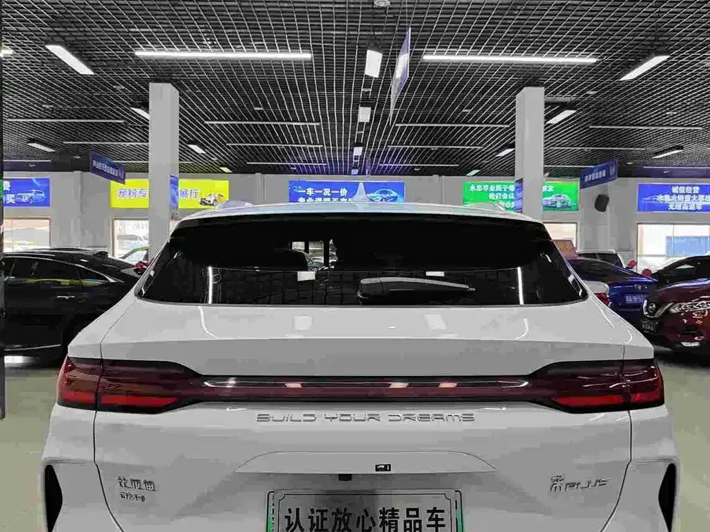 BYD PLUS New Energy 2024 из CN, фото 5