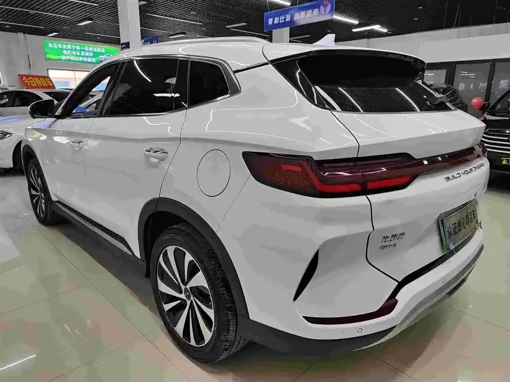 BYD PLUS New Energy 2024 из CN, фото 7