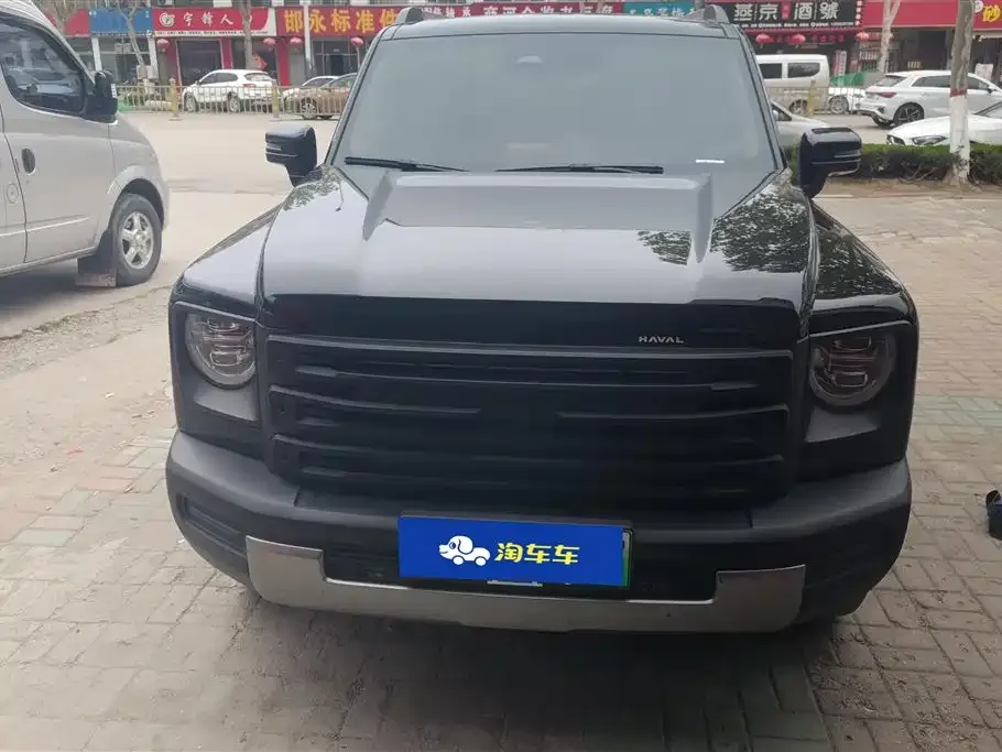 Haval Menglong New Energy 2024 из CN, фото 4