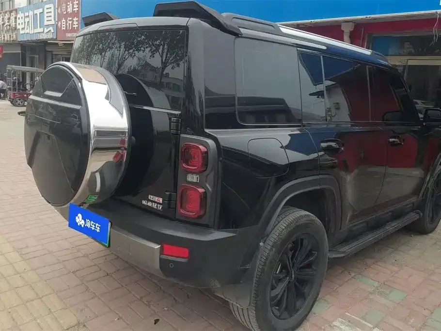 Haval Menglong New Energy 2024 из CN, фото 9