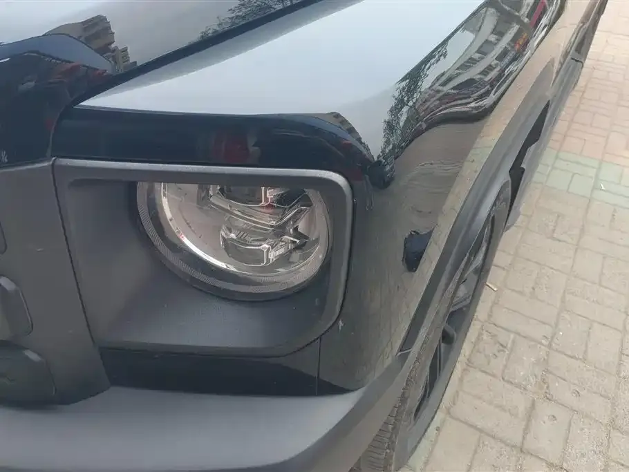 Haval Menglong New Energy 2024 из CN, фото 3