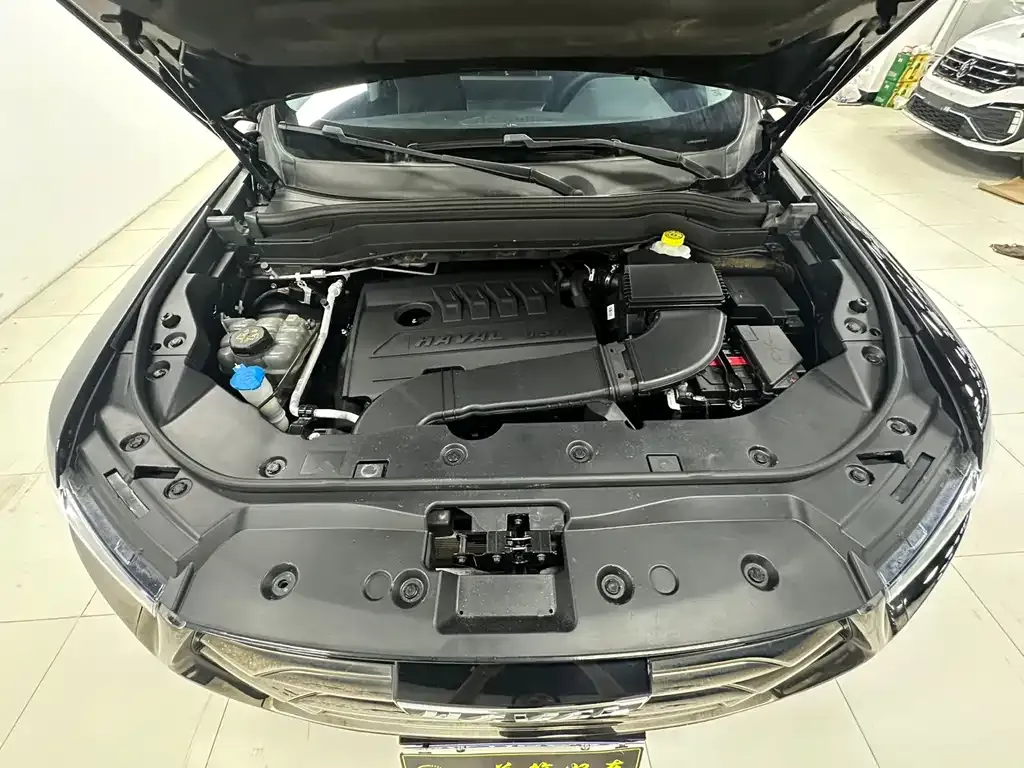 Haval H6 2022 из CN, фото 4