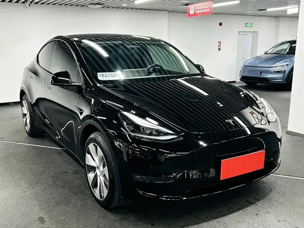 Tesla Model Y — фото 8