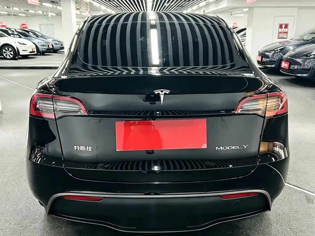 Tesla Model Y — фото 5