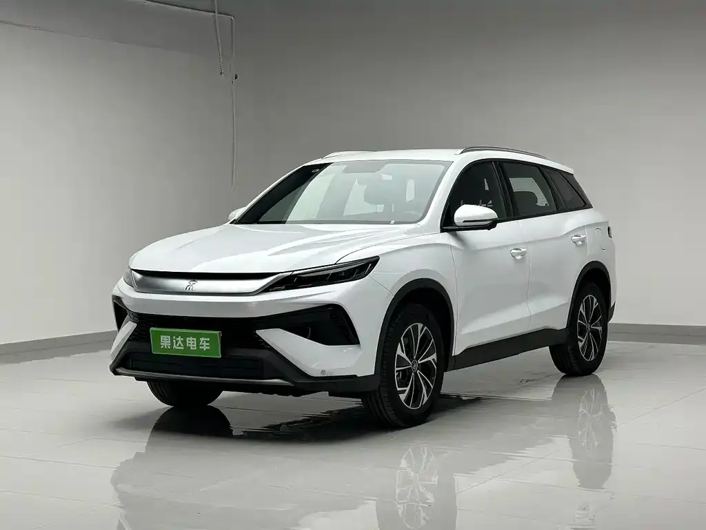 BYD Pro New Energy — фото 1