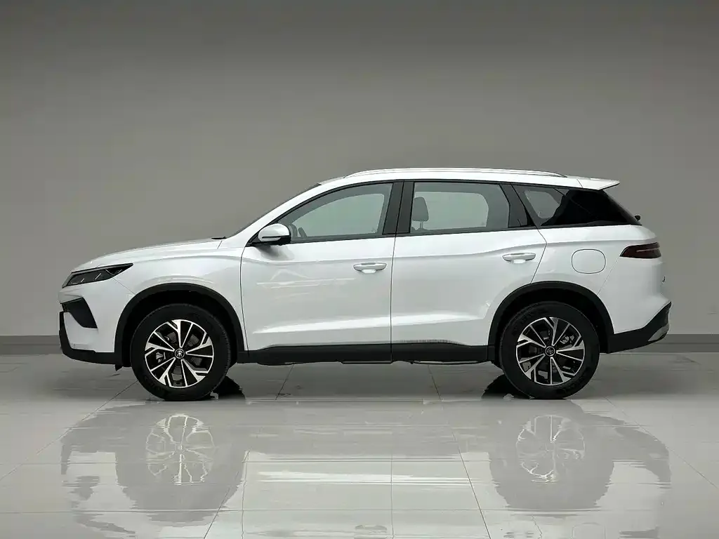 BYD Pro New Energy — фото 3