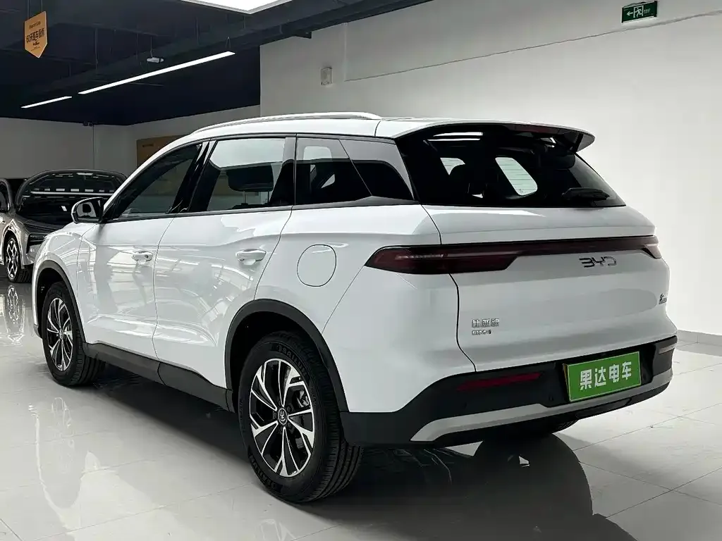 BYD Pro New Energy — фото 7