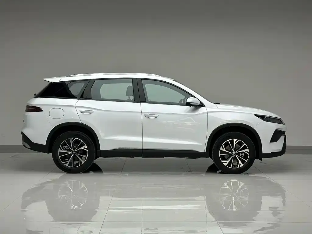 BYD Pro New Energy — фото 6