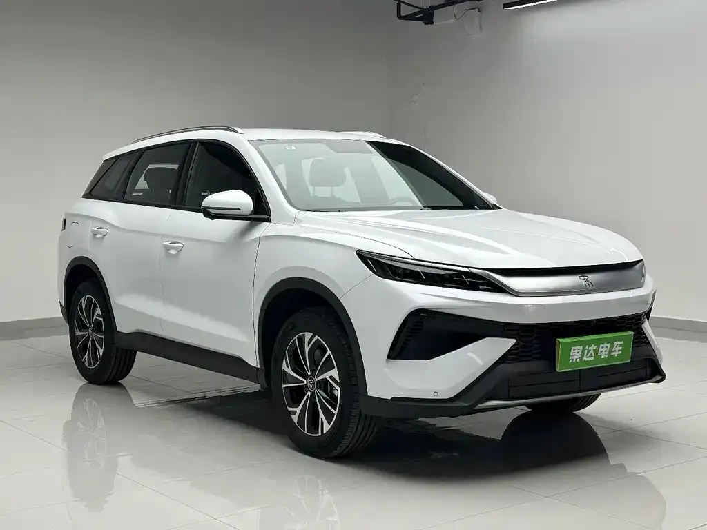 BYD Pro New Energy — фото 10