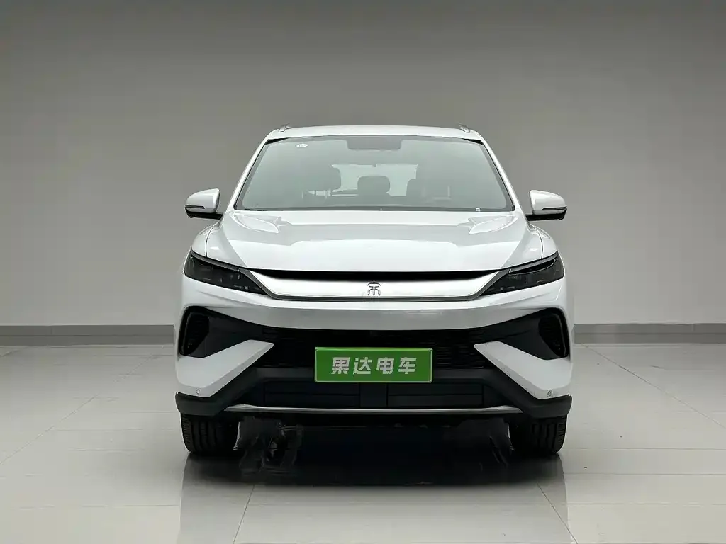 BYD Pro New Energy — фото 2