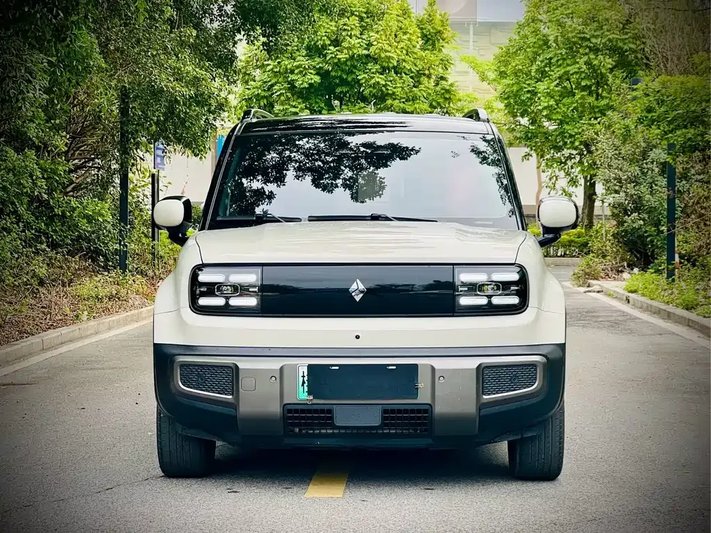 Baojun Yueye Plus 2024 из CN, фото 9