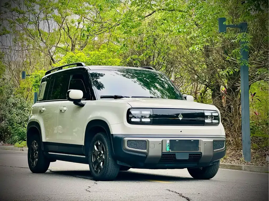 Baojun Yueye Plus 2024 из CN, фото 5