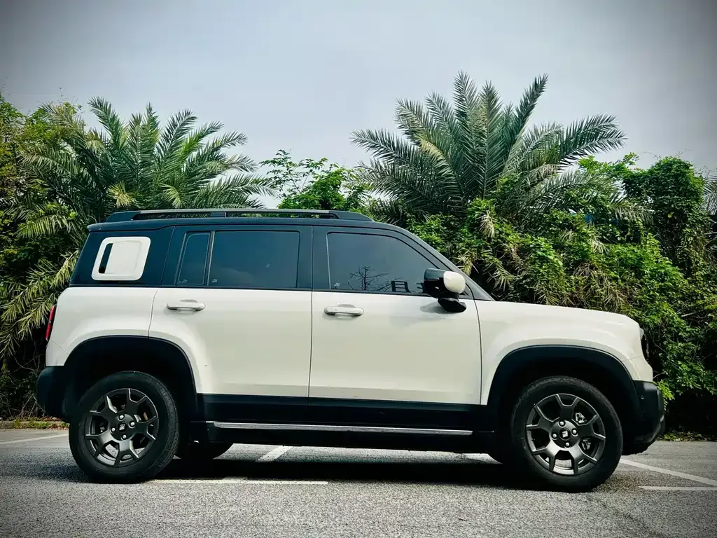 Baojun Yueye Plus 2024 из CN, фото 6