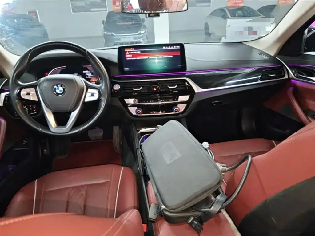 BMW 5 Series 2023 из CN, фото 10