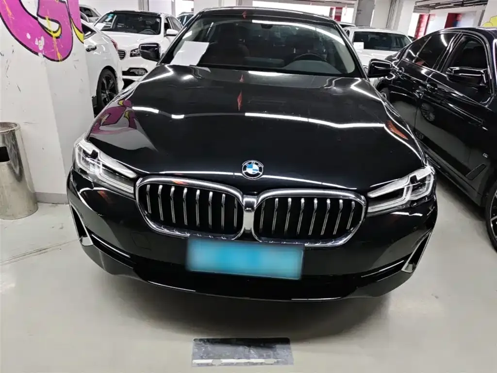BMW 5 Series 2023 из CN, фото 9