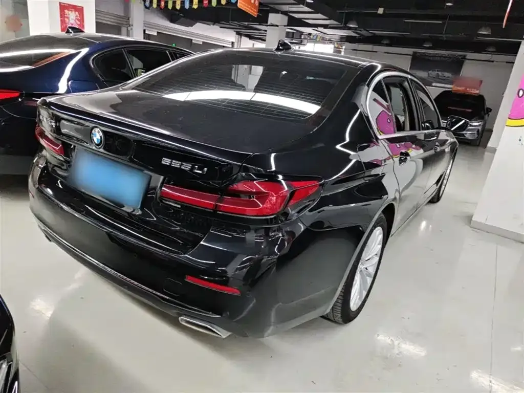 BMW 5 Series 2023 из CN, фото 6