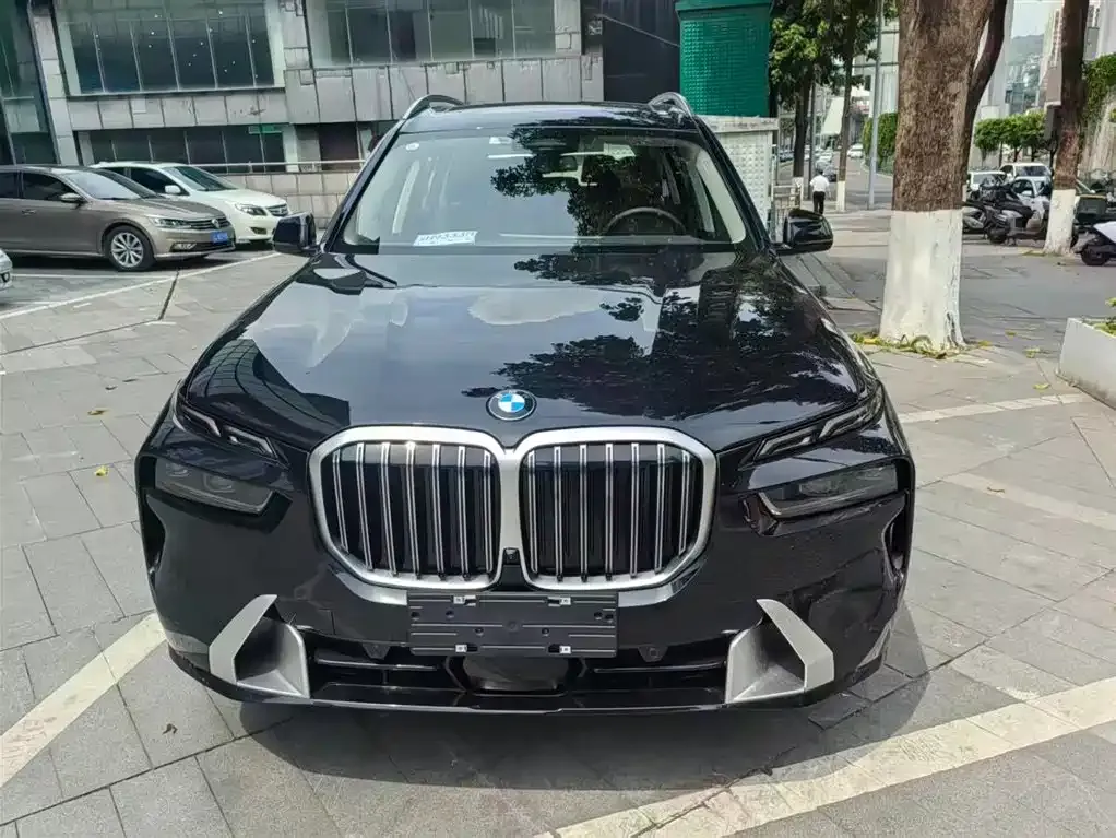 BMW X7 — фото 9
