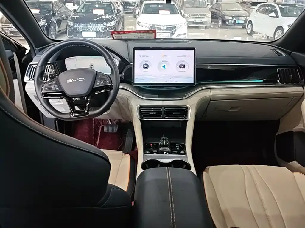 BYD PLUS New Energy — фото 4