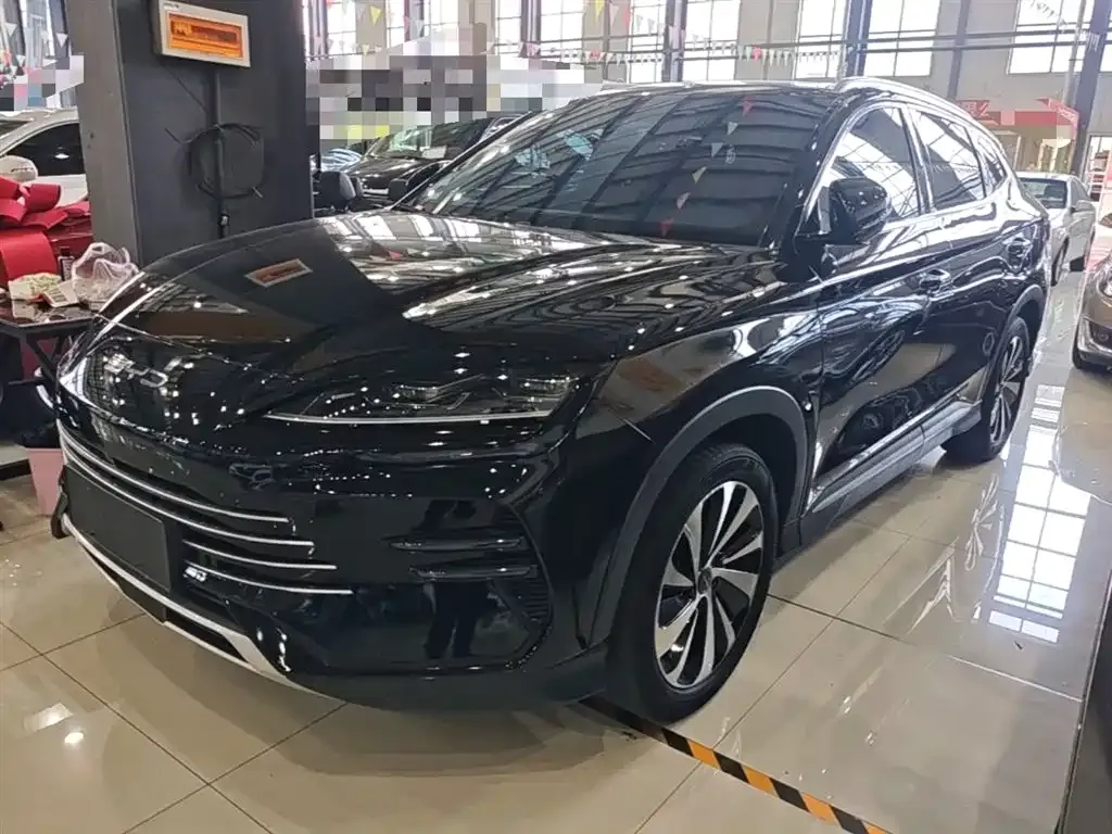 BYD PLUS New Energy — фото 3