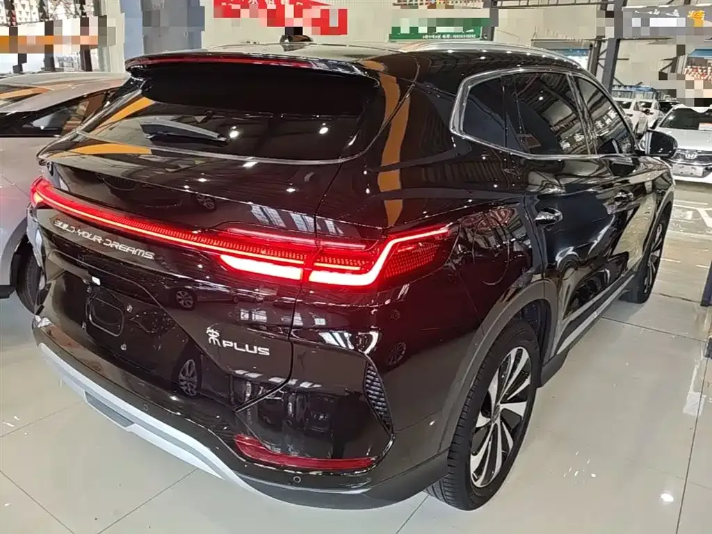 BYD PLUS New Energy — фото 9