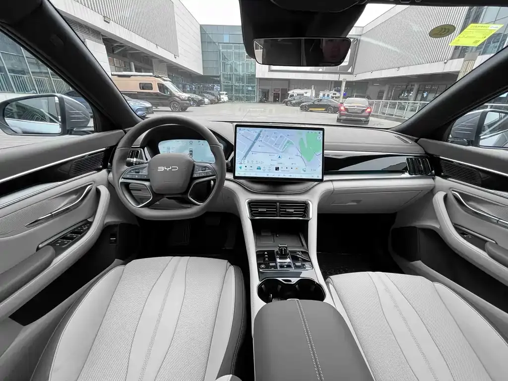 BYD PLUS New Energy — фото 8