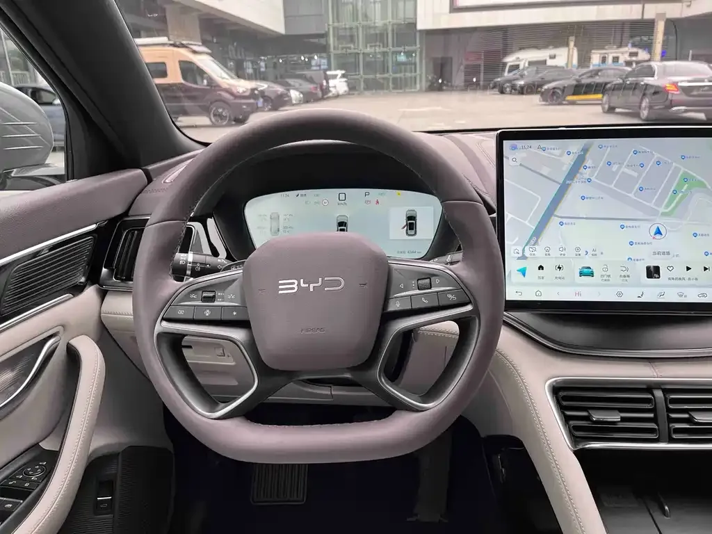 BYD PLUS New Energy — фото 10