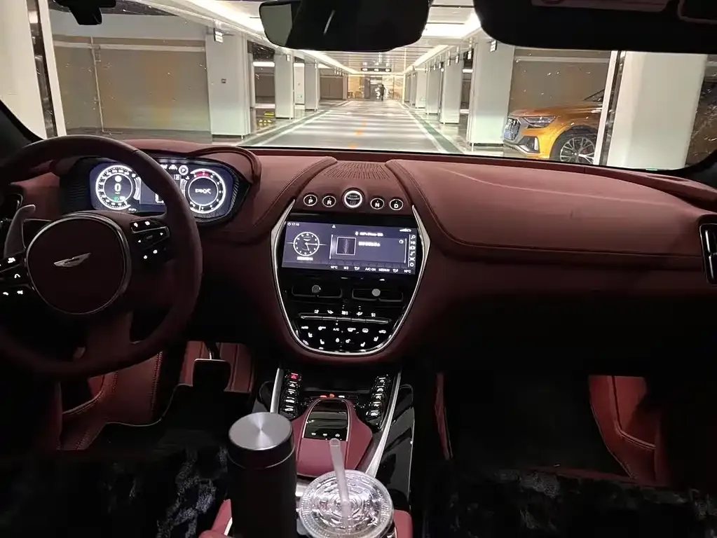 Aston Martin DBX 2022 из CN, фото 4