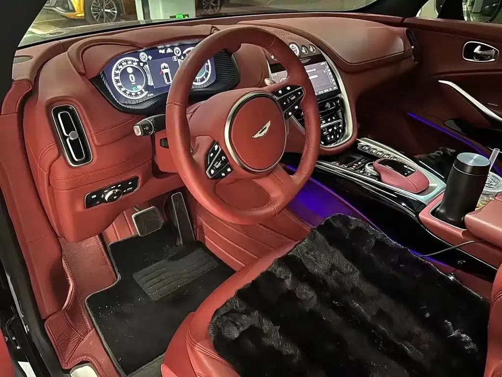 Aston Martin DBX 2022 из CN, фото 2