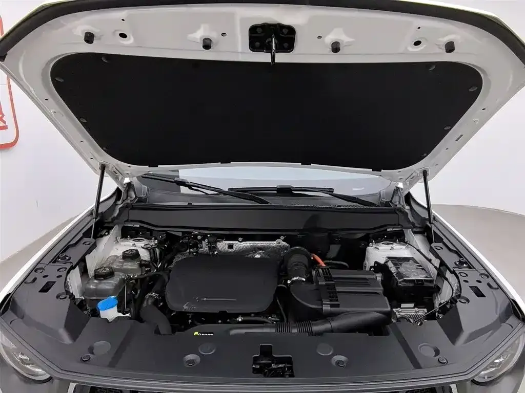 Haval H7 (Big Dog Plus) New Energy 2023 из CN, фото 7