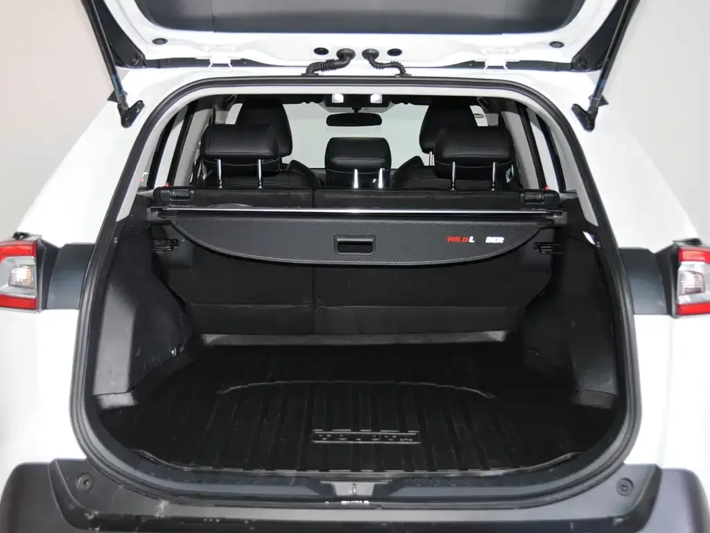 Toyota Wildlander 2024 из CN, фото 8