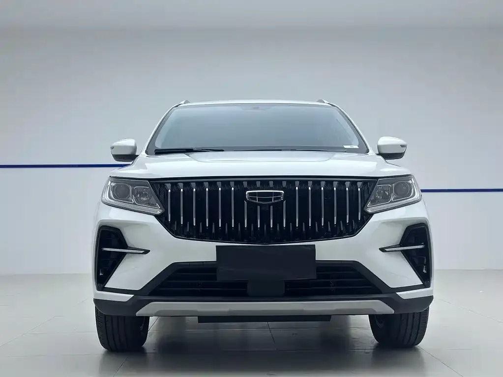 Geely Vision X6 2022 из CN, фото 2