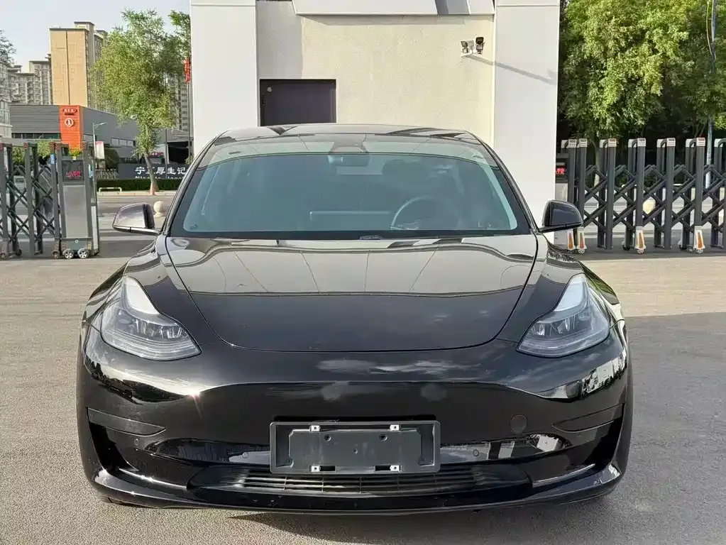 Tesla Model 3 2021 из CN, фото 9