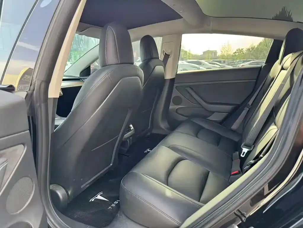 Tesla Model 3 2021 из CN, фото 5