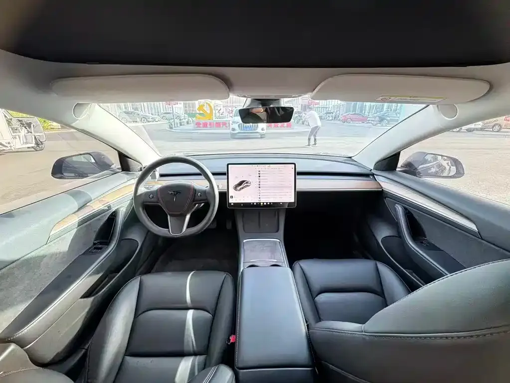 Tesla Model 3 2021 из CN, фото 4