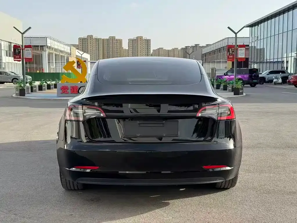 Tesla Model 3 2021 из CN, фото 8