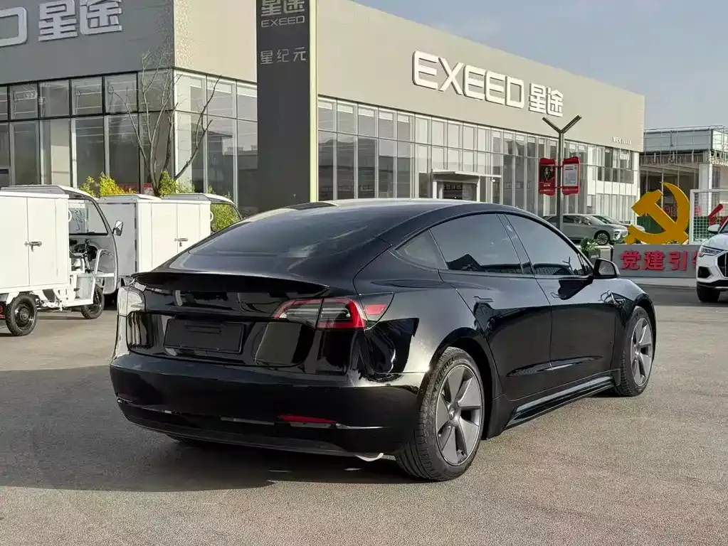 Tesla Model 3 2021 из CN, фото 6